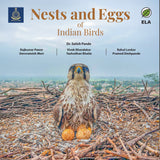 Nests and Eggs of Indian Birds