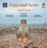 Eggs and Nests of Indian Birds