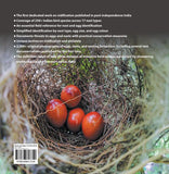 Eggs and Nests of Indian Birds