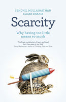 Scarcity - Why Having Too Little Means So Much