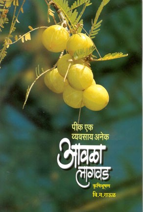 Aawala Lagwad (आवळा लागवड)