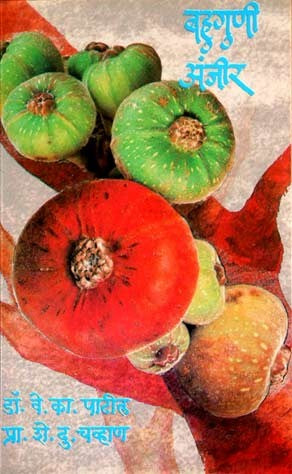 Bahuguni Anjir (बहुगुणी अंजीर)