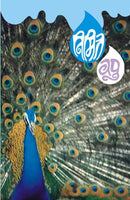Nimitta
